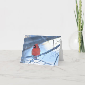 Cardinal notecard