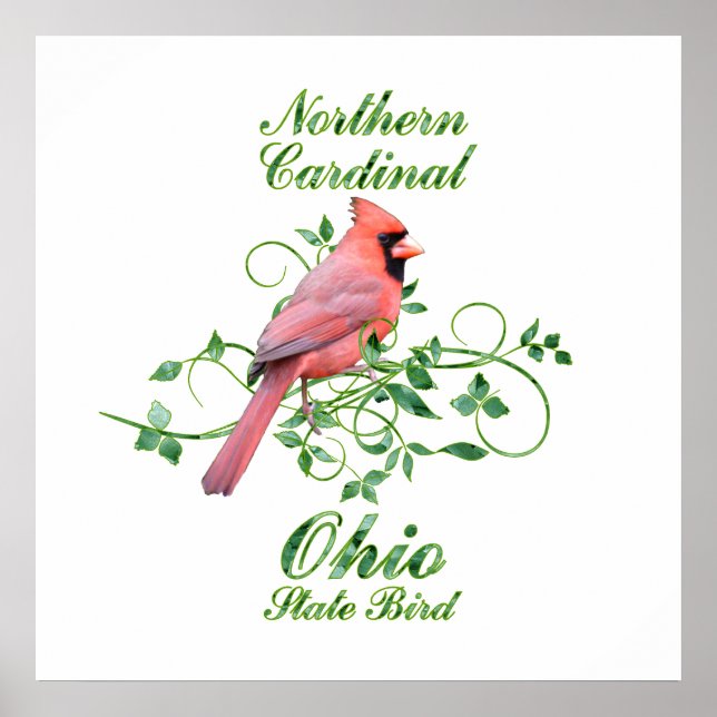 Cardinal Ohio State Bird Poster (Front)