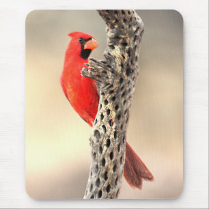 Cardinal on a Cholla Mouse Pad