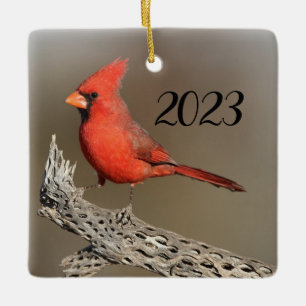Cardinal on a cholla rib ceramic ornament