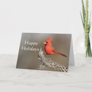 Cardinal on a cholla rib, Happy Holidays Holiday Card