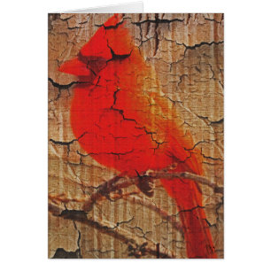 Cardinal on Birch