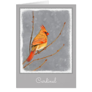 Cardinal on Branch Painting - Original Bird Art