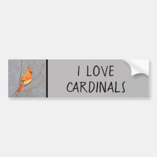 Cardinal on Branch Painting - Original Bird Art Bumper Sticker
