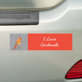 Cardinal on Branch Painting - Original Bird Art Bumper Sticker (On Car)