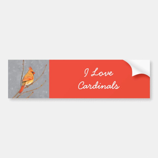 Cardinal on Branch Painting - Original Bird Art Bumper Sticker (Front)