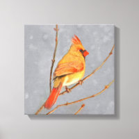 Cardinal on Branch Painting - Original Bird Art