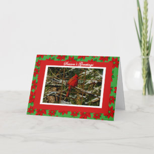 Cardinal on Snow Covered Branch Christmas Card