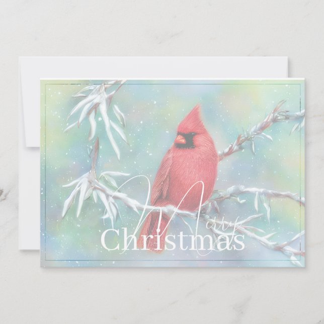 Cardinal on snowy branch budget Christmas Holiday Card (Front)