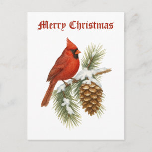 Cardinal On Snowy Pine Tree Christmas Holiday Postcard