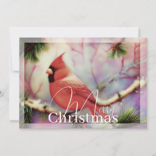 Cardinal on winter branch budget Christmas Holiday Card