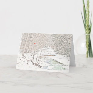 Cardinal on Winter Creek (Blank inside) Card