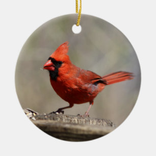 Cardinal ornament