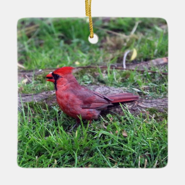 Cardinal Ornament (Front)