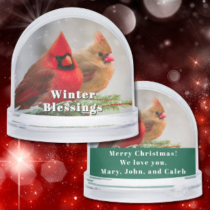 Cardinal Pair in Pine Tree Winter Greetings Custom Snowglobe