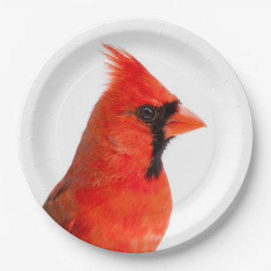 Cardinal Paper Plate