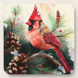 Cardinal Perched in Evergreen Tree with Pinecones Coaster