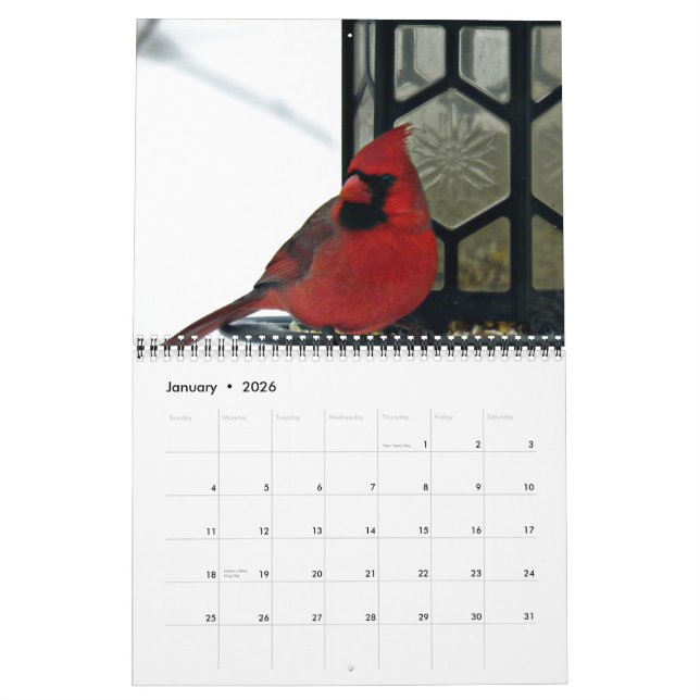 Cardinal Photo 2015 Calendar (Jan 2026)