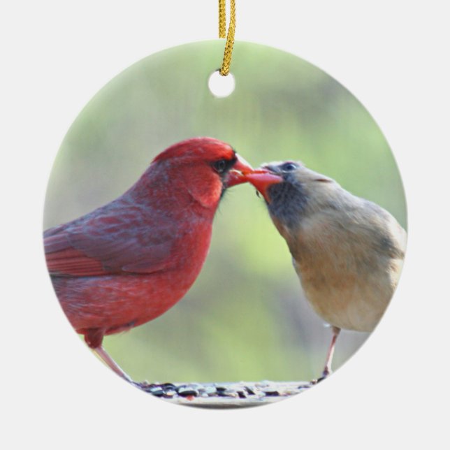 Cardinal photo ceramic tree decoration (Front)