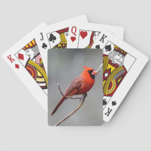 Cardinal Playing Cards