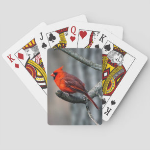 Cardinal Playing Cards