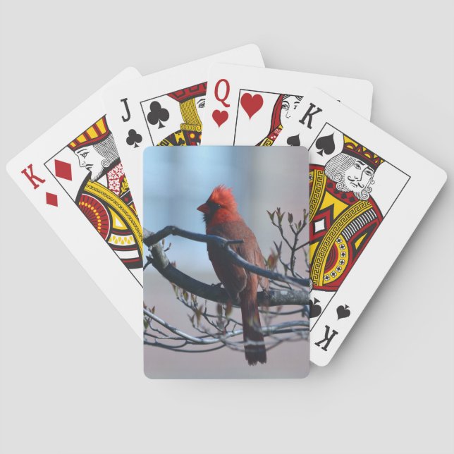 Cardinal Playing Cards (Back)