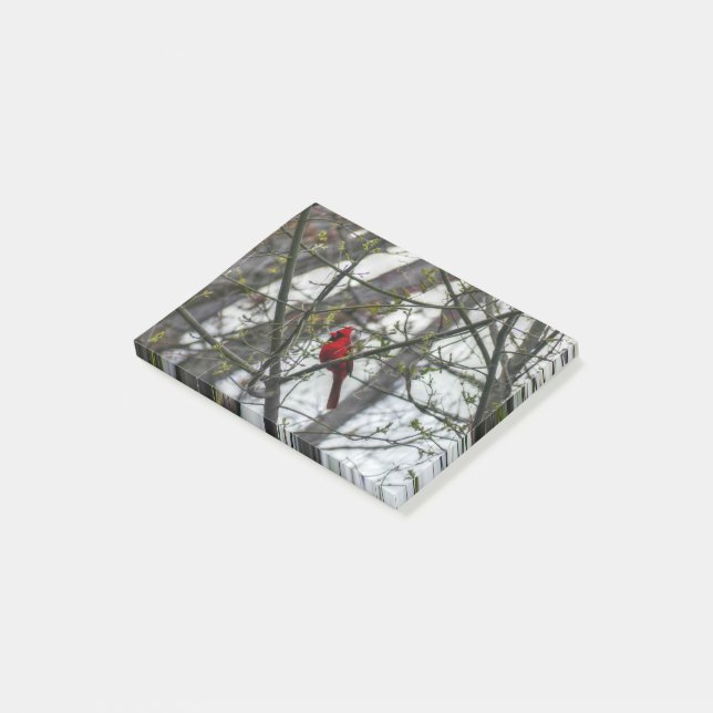 Cardinal Post-it Notes (Angled)