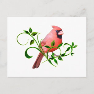 Cardinal Postcard