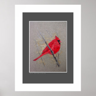 Cardinal Poster