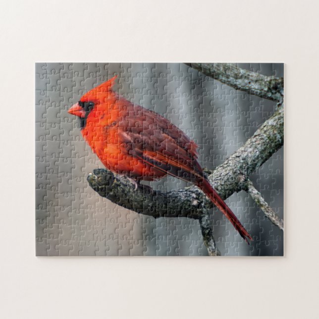 Cardinal Puzzle (Horizontal)