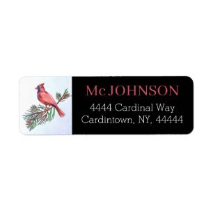 Cardinal Red Bird Branch Illustration Art Address