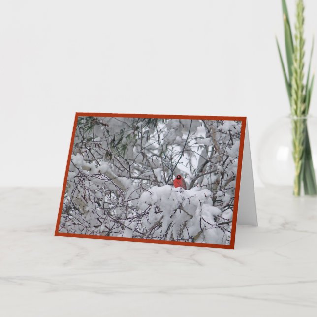 Cardinal Redbird Snow Photo Christmas Holiday Card (Front)