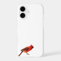 Cardinal(s)