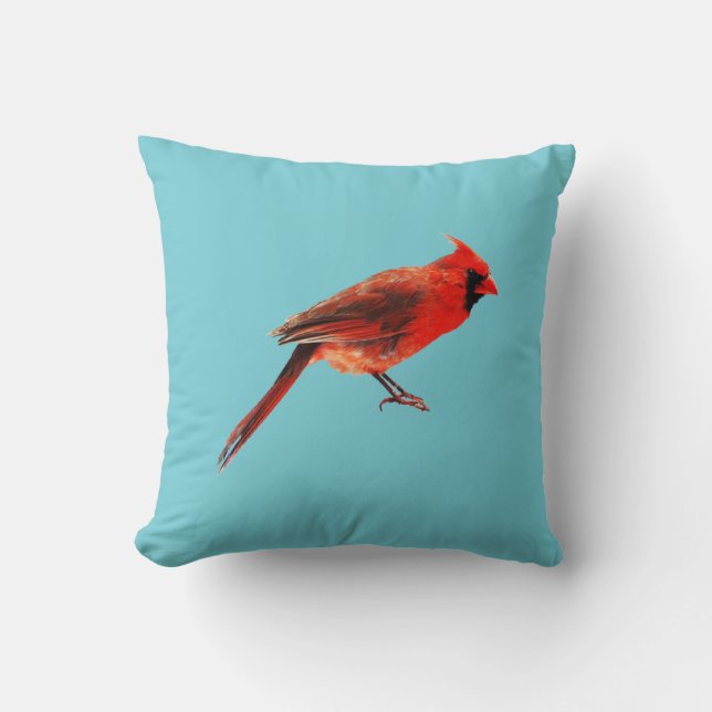 Cardinal(s) Cushion (Front)