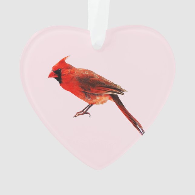 Cardinal(s) Ornament (Back)