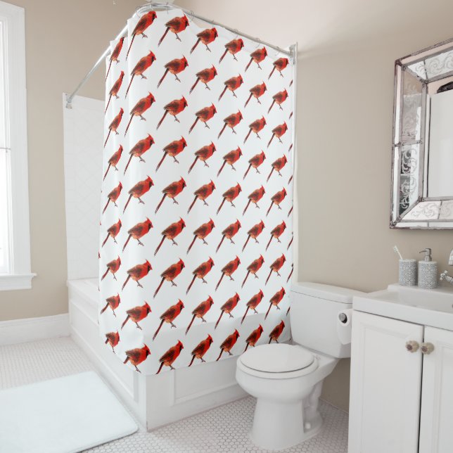Cardinal(s) Shower Curtain (In Situ)