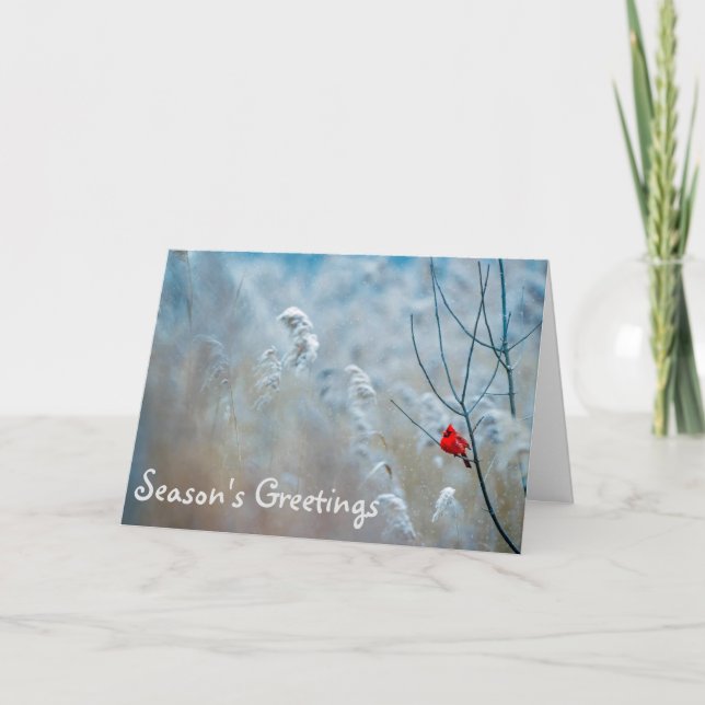 Cardinal Season's Greetings Holiday Christmas Card (Front)