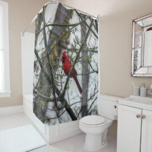 Cardinal Shower Curtain