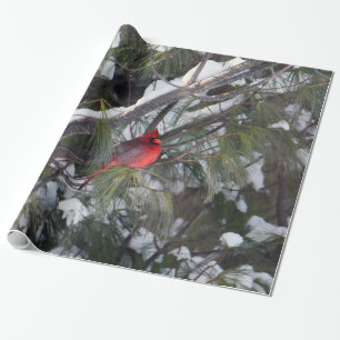 Cardinal Snow Pine Tree Photo Wrapping Paper