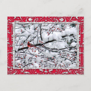 Cardinal Snow Tree Photo Christmas Postcard