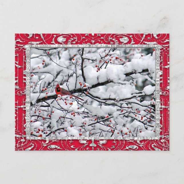 Cardinal Snow Tree Photo Christmas Postcard (Front)