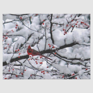 Cardinal Snow Tree Photo Tissue Paper