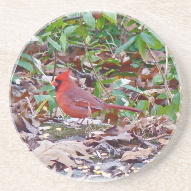Cardinal Songbird Coaster (Front)