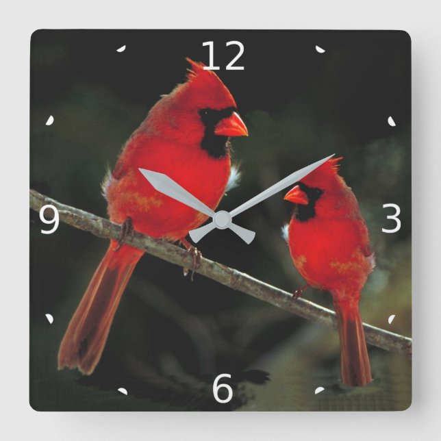 CARDINAL SQUARE WALL CLOCK (Front)