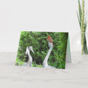 Cardinal standing on Pelicans Blank Card