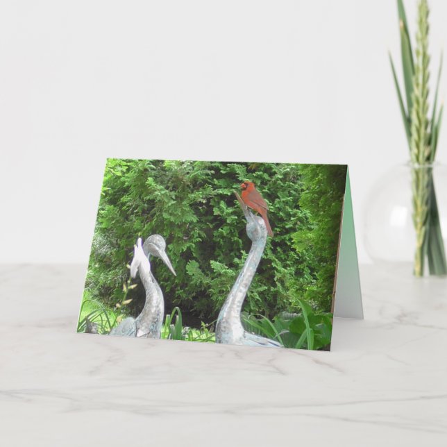 Cardinal standing on Pelicans Blank Card (Front)