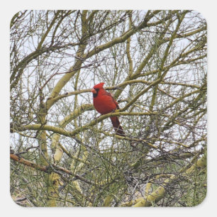 Cardinal Stickers