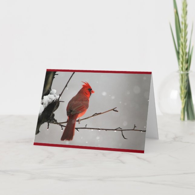 Cardinal Thinking of you card (Front)