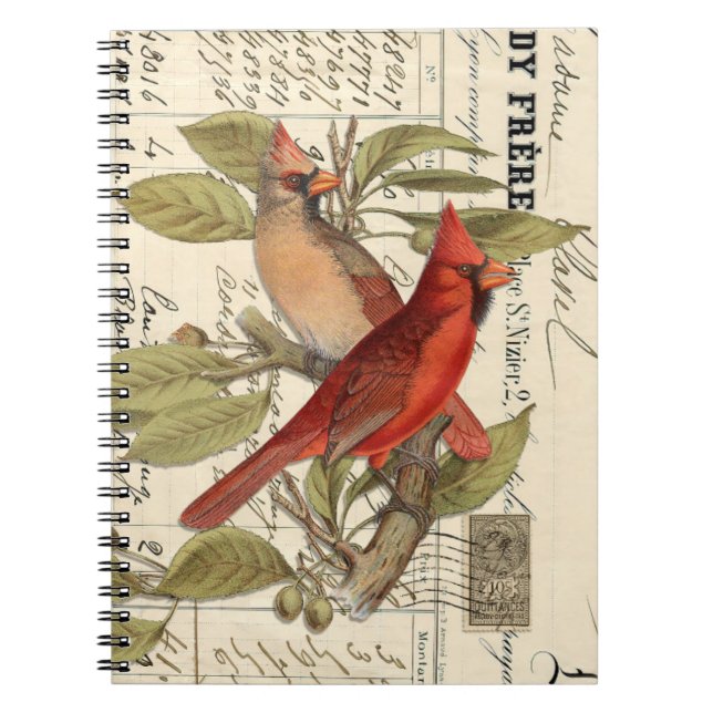 Cardinal Vintage French Spiral Journal Notebook  (Front)