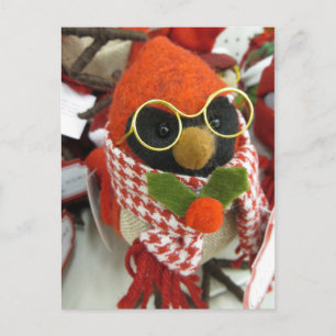 Cardinal Wearing Glasses Postcard